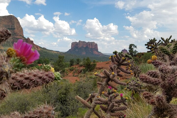 Private Sedona Day Trip from Phoenix or Scottsdale - Photo 1 of 6